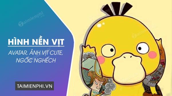 Hình nền vịt, avatar, ảnh vịt cute, ngốc nghếch