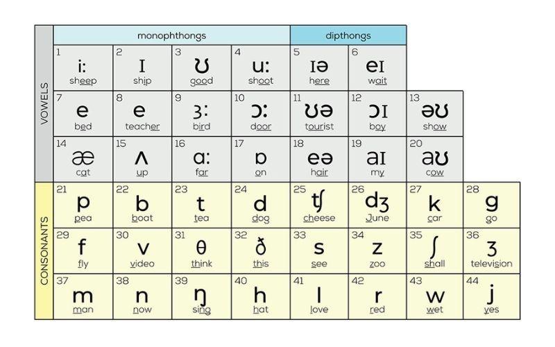 Bảng phiên âm IPA là công cụ cần thiết với bất kỳ ai mới bắt đầu học tiếng Anh