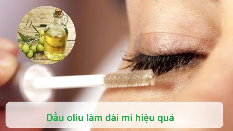 Dầu Dừa Hay Dầu Oliu: Lựa Chọn Nào Tốt Hơn Để Dưỡng Mi Tự Nhiên?