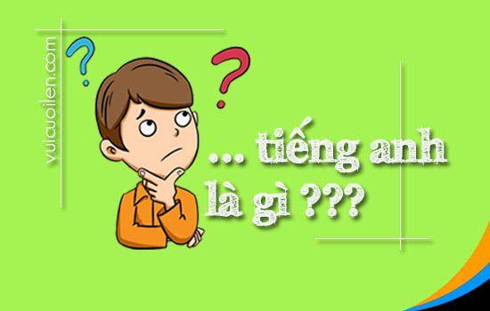 Quanh năm tiếng anh là gì