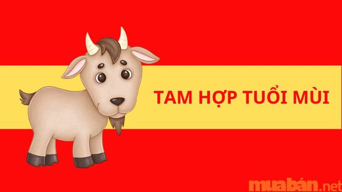 tam hợp tuổi Mùi là gì