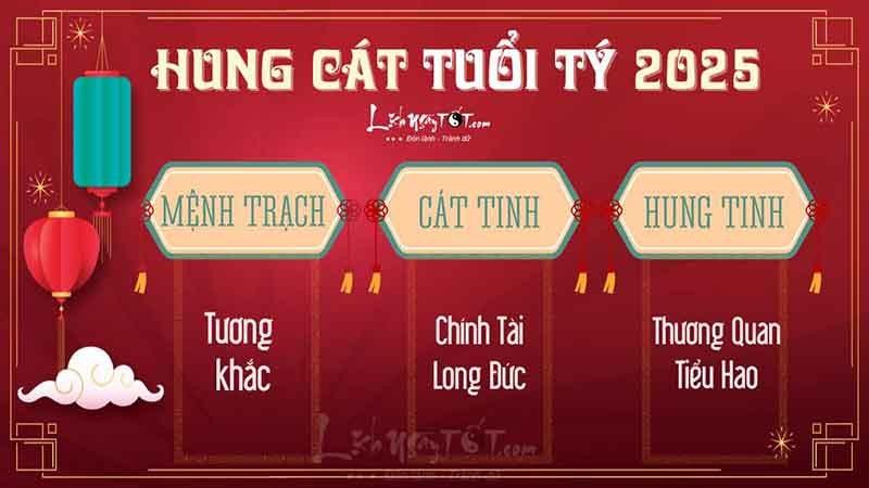 Tử vi tuổi Tý 2025