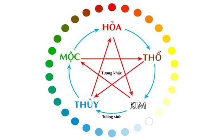 Mệnh Thuỷ hợp cây gì giúp hút tiền vào như nước